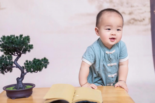 资阳可爱的企鹅宝宝